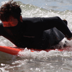 SE-87d9ced7-95b4-408f-a08b-aba3f4d703ed